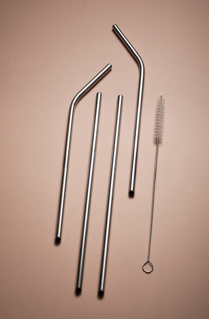 PLATINUM STRAWS SET OF 5PCS (SILVER)